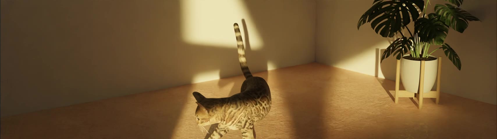 Golden Hour — cat animation study by VESARA